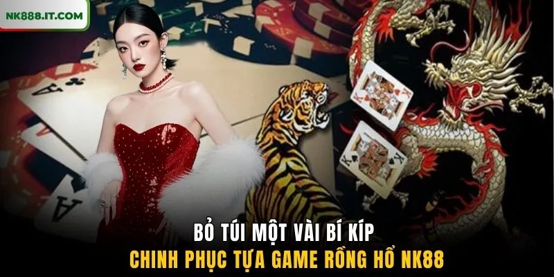 bo-tui-mot-vai-bi-kip-chinh-phuc-tua-game-rong-ho-nk88