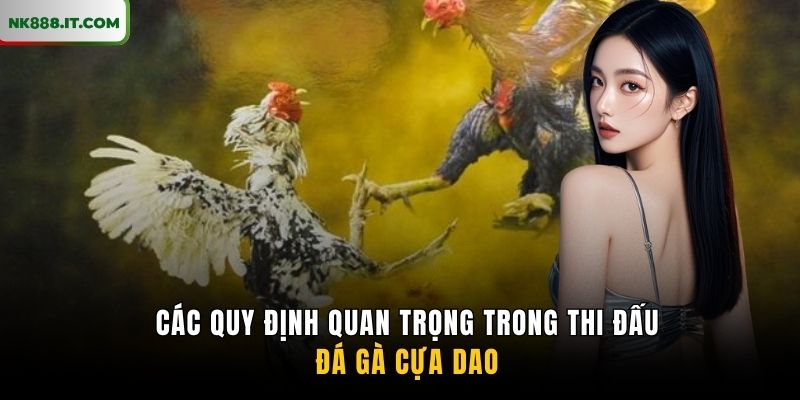 cac-quy-dinh-quan-trong-trong-thi-dau-da-ga-cua-dao