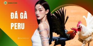 da-ga-peru-hinh-thuc-giai-tri-duoc-ua-chuong-tai-nk88