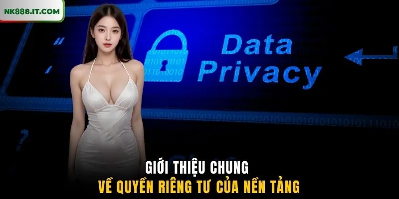 gioi-thieu-chung-ve-quyen-rieng-tu-cua-nen-tang