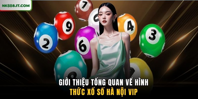 gioi-thieu-tong-quan-ve-hinh-thuc-xo-so-ha-noi-vip