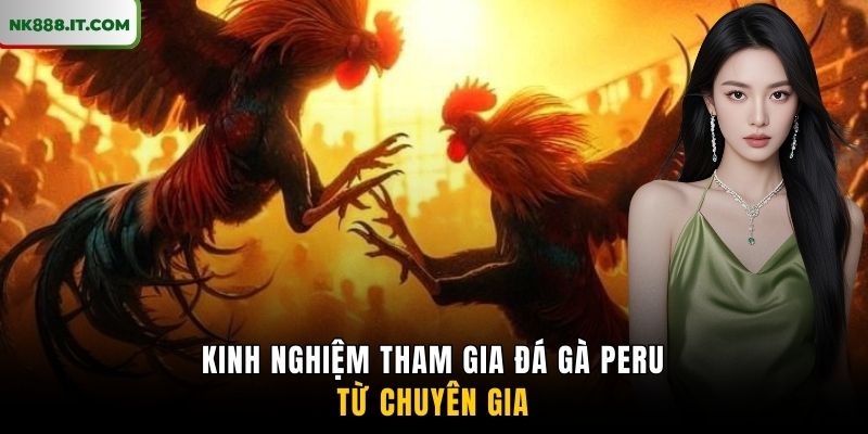 kinh-nghiem-tham-gia-da-ga-peru-tu-chuyen-gia