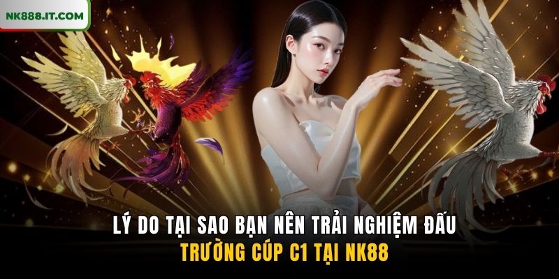 ly-do-tai-sao-ban-nen-trai-nghiem-dau-truong-cup-c1-tai-nk88