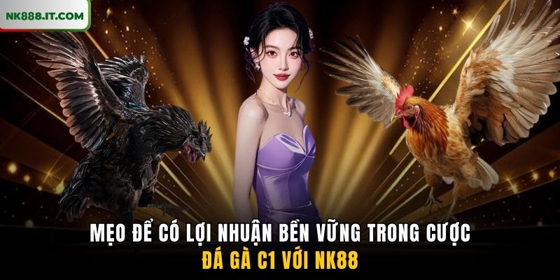 meo-de-co-loi-nhuan-ben-vung-trong-cuoc-da-ga-c1-voi-nk88