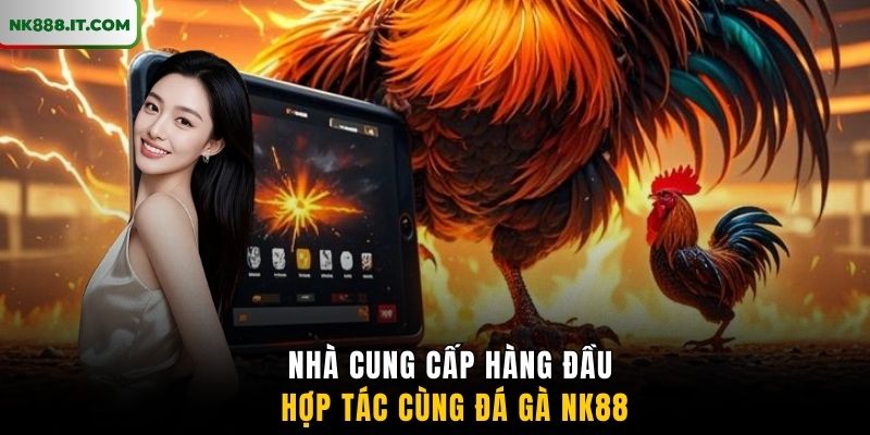 nha-cung-cap-hang-dau-hop-tac-cung-da-ga-nk88