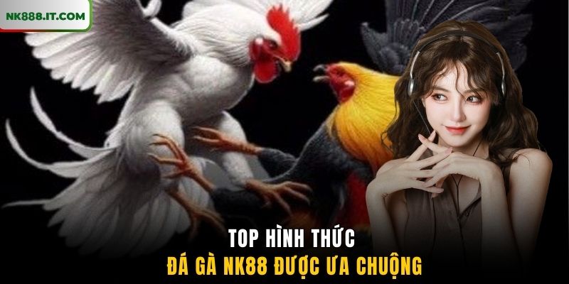 top-hinh-thuc-da-ga-nk88-duoc-ua-chuong